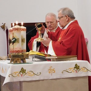 Zlatomisnik preč. Topolnjak proslavio jubilej u Karmelu u Brezovici